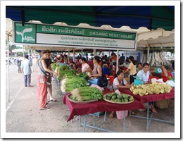 タートルアン前有機野菜市場
